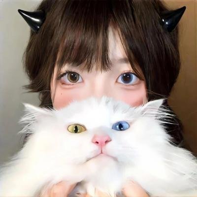 中华熊猫